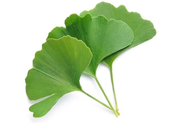 Το Gluconol περιέχει Ginkgo biloba